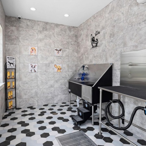 a dog was room with multiple sinks